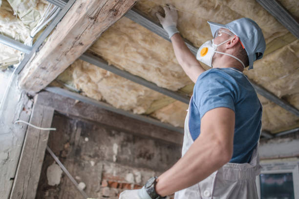 Best Spray Foam Insulation in Nicholls, GA