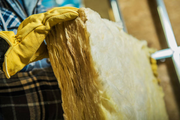 Best Insulation Maintenance and Repair in Nicholls, GA
