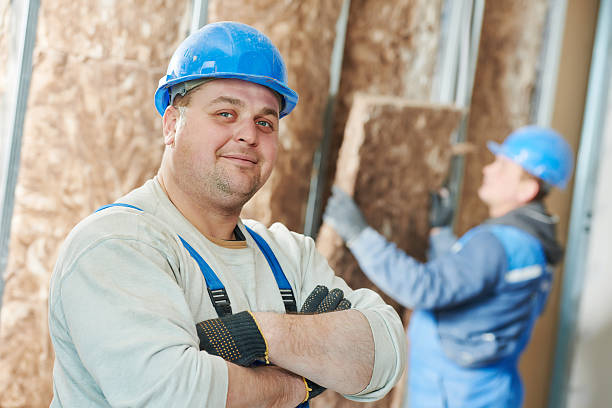 Best Specialized Insulation Services in Nicholls, GA
