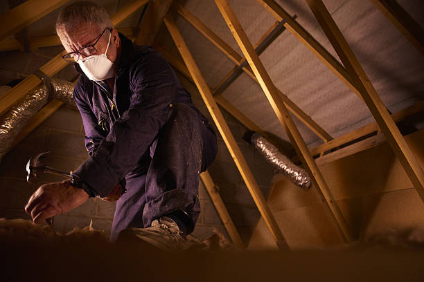 Types of Insulation We Offer in Nicholls, GA