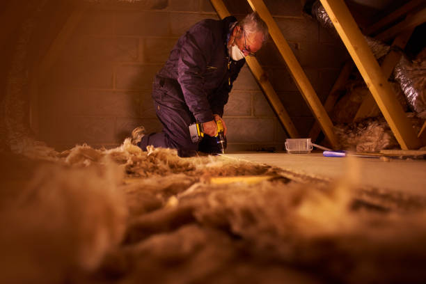 Best Geographic-Specific Insulation Services in Nicholls, GA